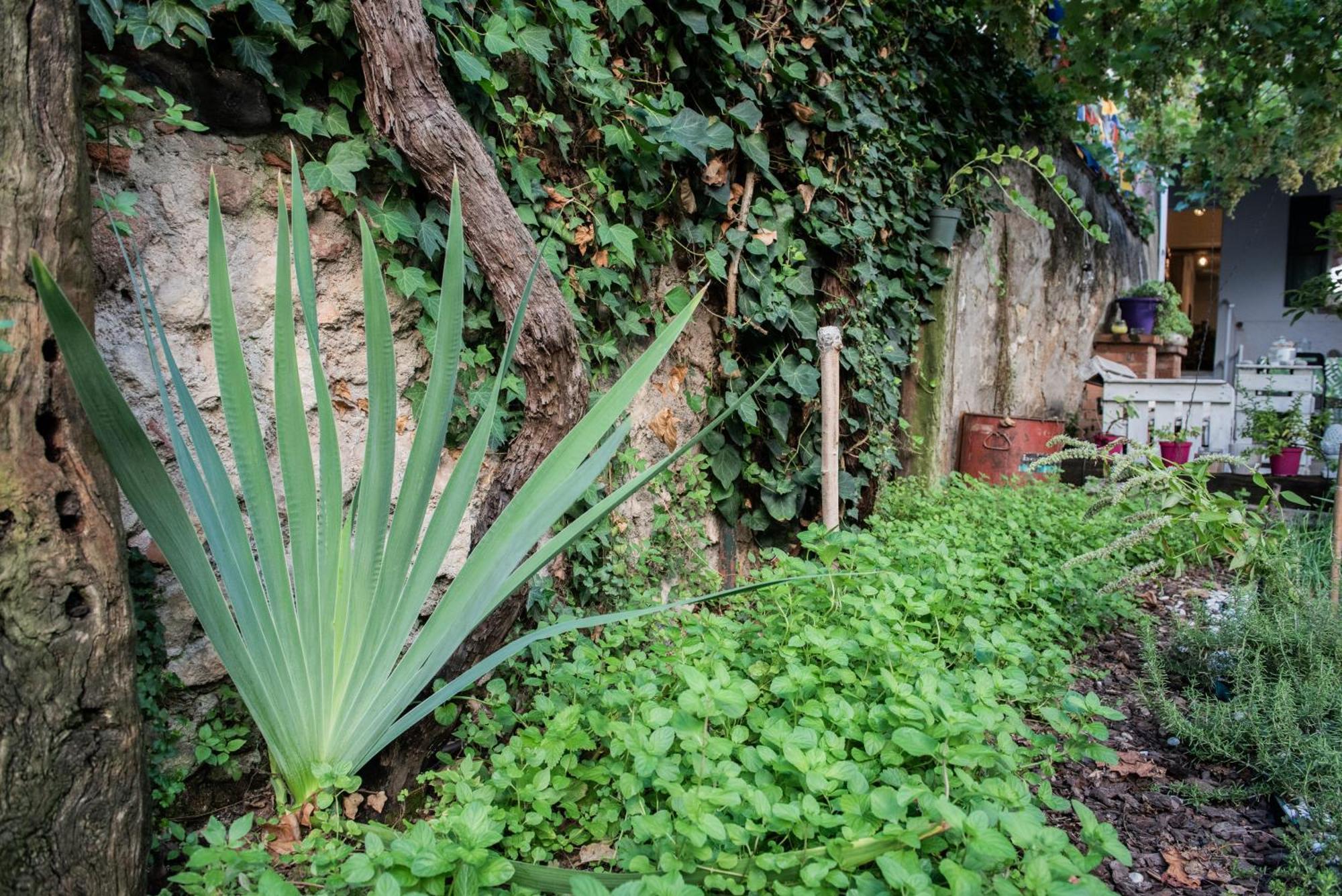 فندق Casa Babbuino فيرونا المظهر الخارجي الصورة