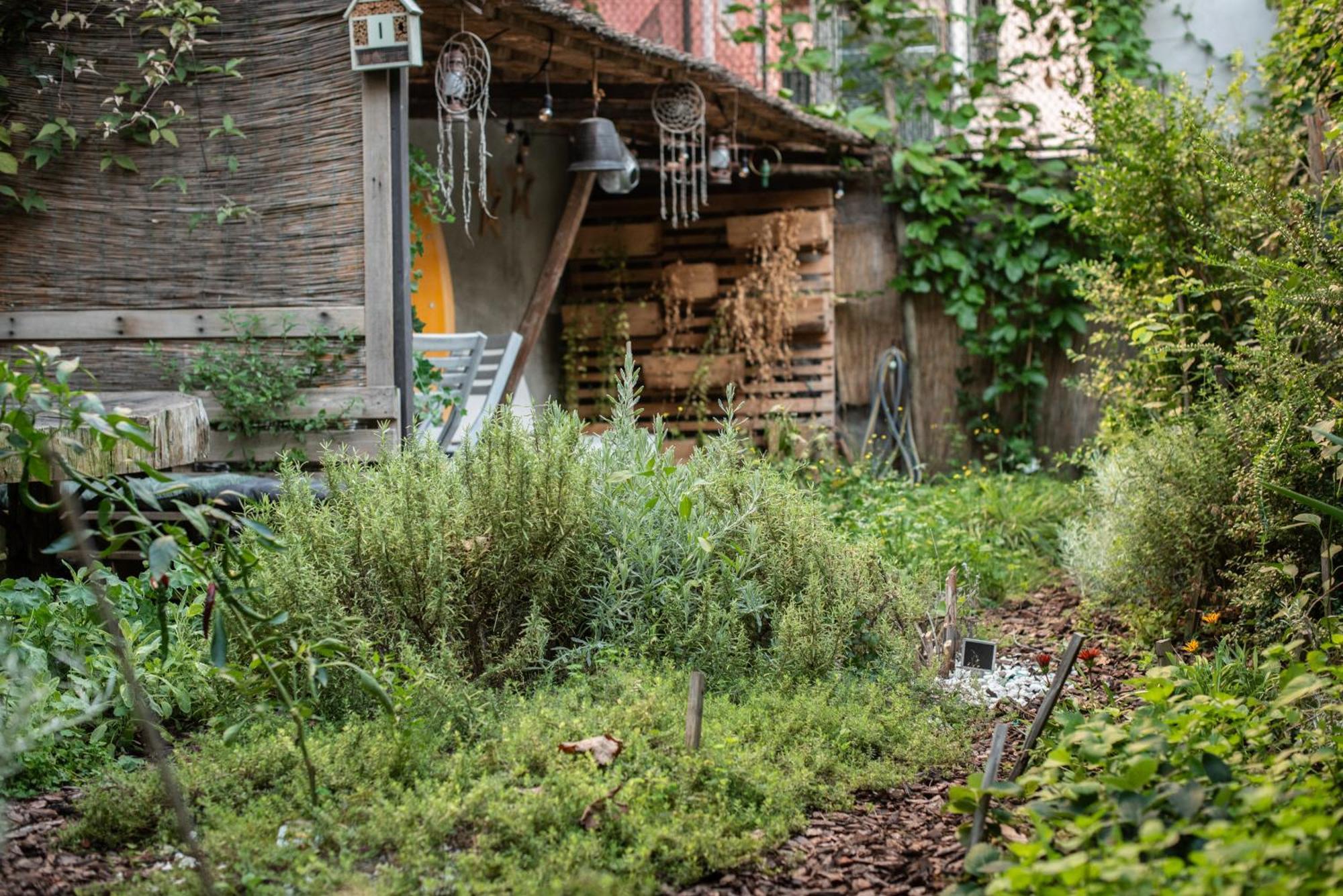فندق Casa Babbuino فيرونا المظهر الخارجي الصورة